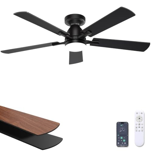 Ceiling Fan with Light