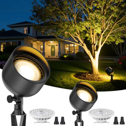 Low Voltage Landscape Flood Light