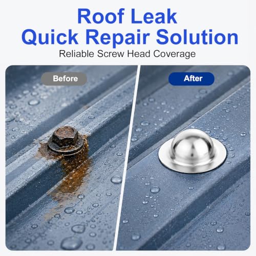 Metal Roof Screw Caps