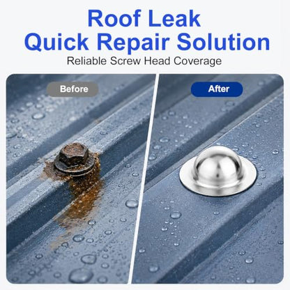 Metal Roof Screw Caps