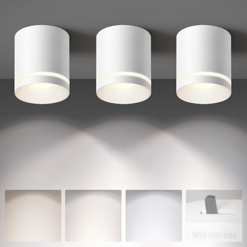 Ceiling Light Fixtures for Hallway Kitchen Entryway