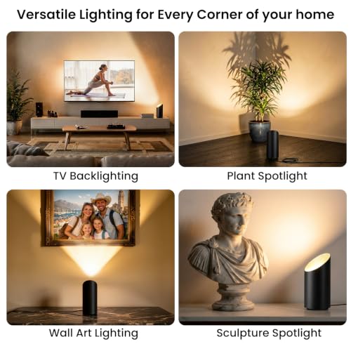 2 Pack Uplighting Indoor Floor Can Lights