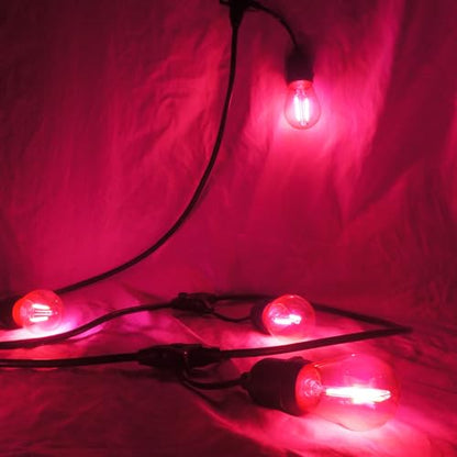 S14 LED Shatterproof 2 Watt String Light Bulbs Plastic Waterproof E26 Base Filament Edison Outdoor Replacement Christmas Light Bulbs