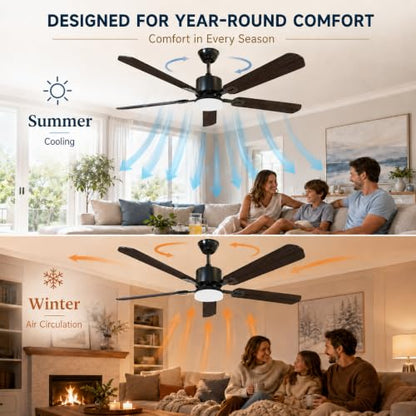 Ceiling Fans with Lights