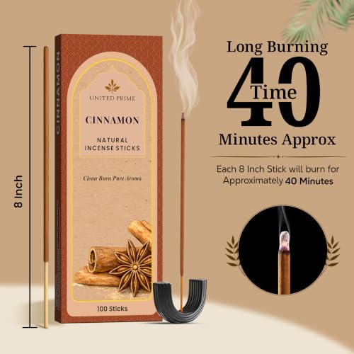Pure Cinnamon Incense (Cinnamon)