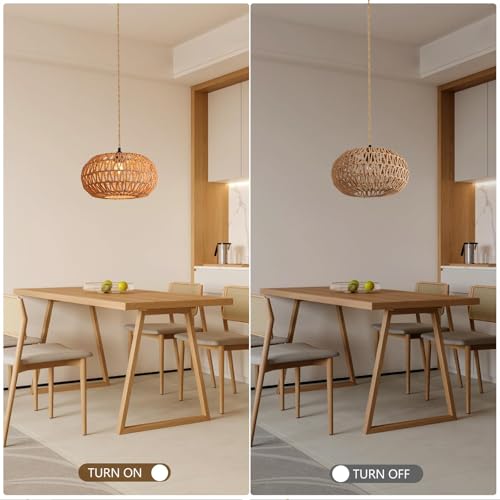 Hanging Lamp 12 inch Boho Plug in Pendant Light