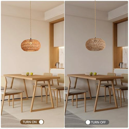 Hanging Lamp 12 inch Boho Plug in Pendant Light