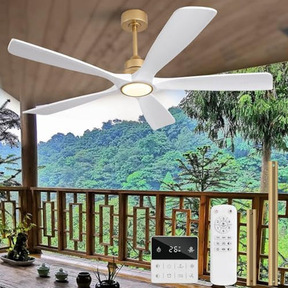 Ceiling Fan with Light