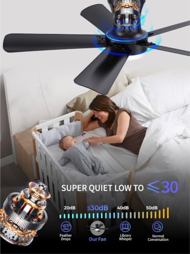 Low Profile Ceiling Fan with Light and Remote