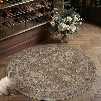 5x5 Round Rugs Brown Vintage Rug for Living Room (Retro | Brown / 5' (Round))