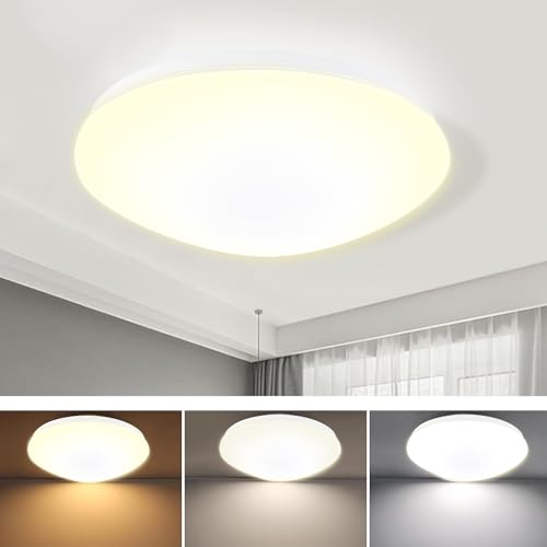 Matte Black Flush Mount Ceiling Light