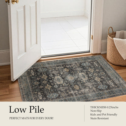 Washable Small Area Rug 2×3 for Entryway (Silver / 2' x 3' (Rectangular))