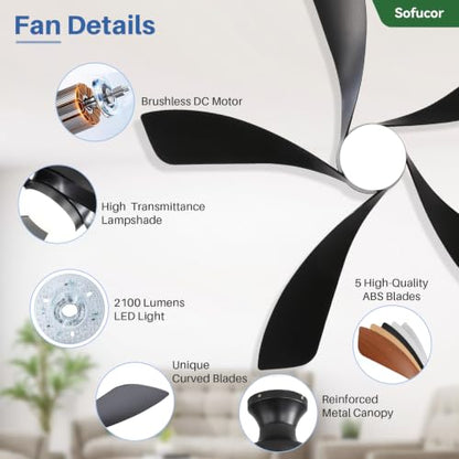 52 Inch Smart Ceiling Fans with Lights and Remote (Black / 52inch Max)
