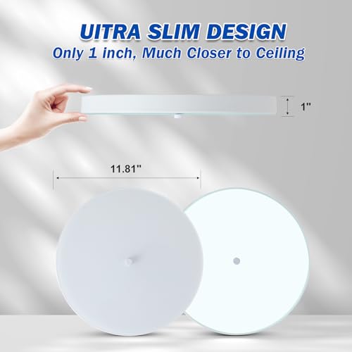 Led Flush Mount Ceiling Light