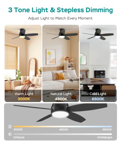 52 Inch Ceiling Fans with Lights