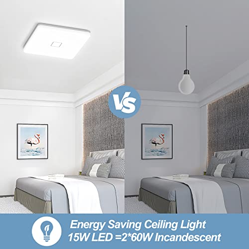 LED Ceiling Light