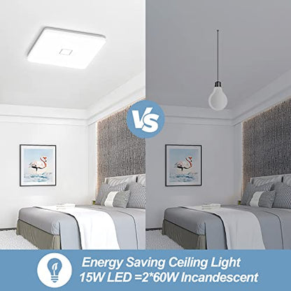 LED Ceiling Light