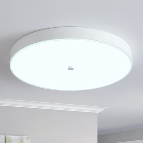 Led Flush Mount Ceiling Light