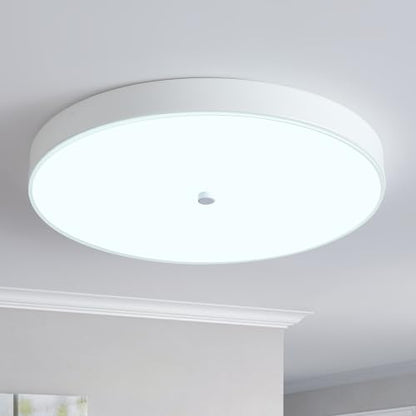 Led Flush Mount Ceiling Light