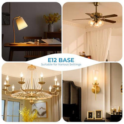 E12 Light bulbs (12 Pack - 4w / Warm White)