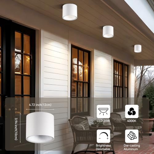Flush Mount Dimmable Outdoor Ceiling Light Fixture