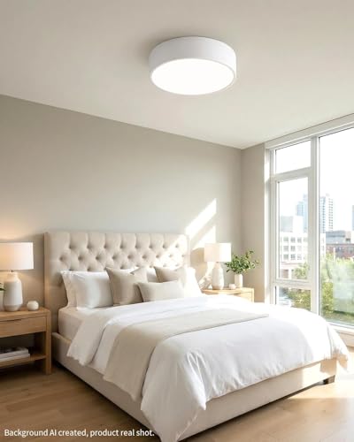 LED Ceiling Light