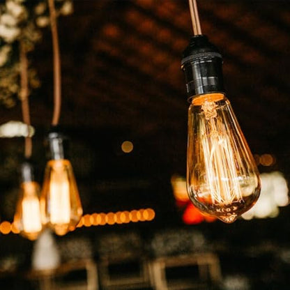 E26 LED Edison Bulbs 6