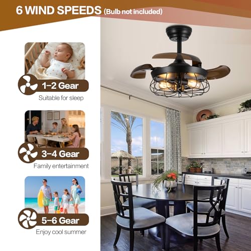 Caged Ceiling Fan