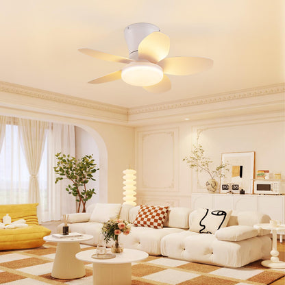 Small Ceiling Fan with Lights (White / 25 Inch)