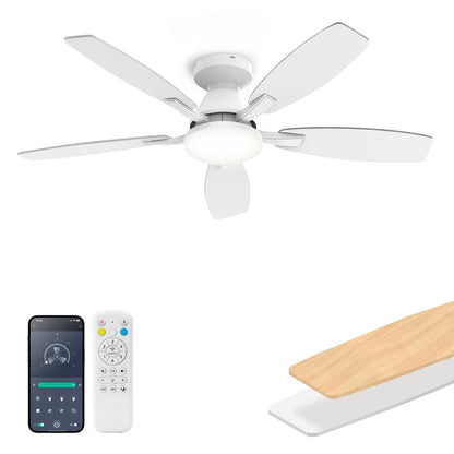 42 Inch Ceiling Fans with Lights (White&Wood Grain / 42 Inch)