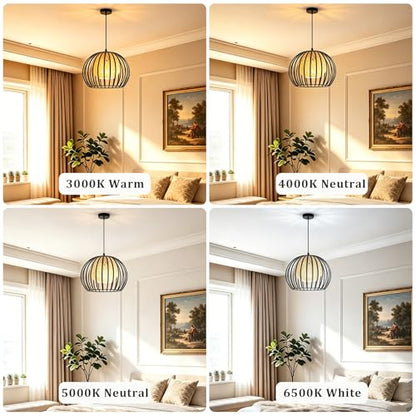 Modern Pendant Light Fixtures Height Adjustable Chandelier for Living Room Kitchen Island Hallway