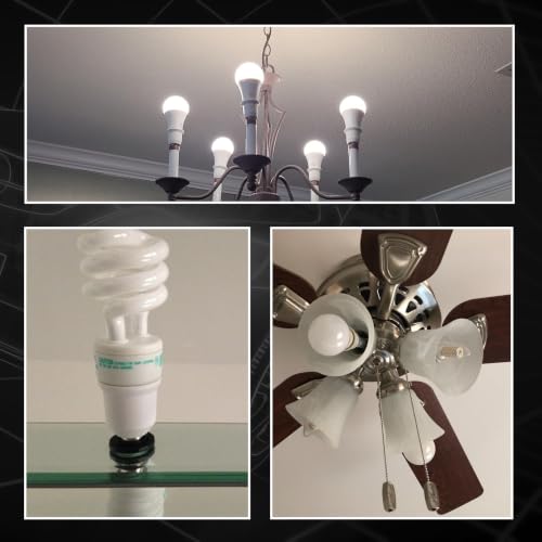 Light Socket