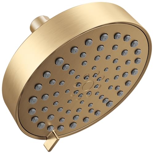 Modern 4 Setting Brushed Nickel Shower Head