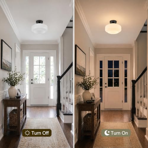Modern Ceiling Light
