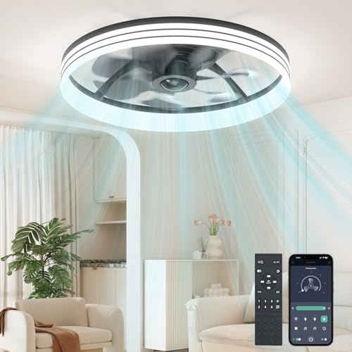 Ceiling Fans with Lights and Remote