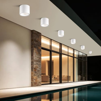 Flush Mount Dimmable Outdoor Ceiling Light Fixture