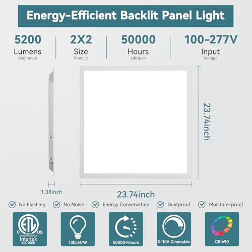 2 Pack 2x2 LED Flat Panel Light