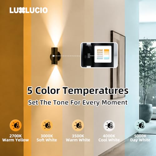 Indoor LED Wall Sconce Up and Down