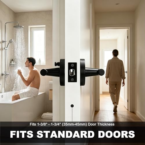 Privacy Door Handle with Lock