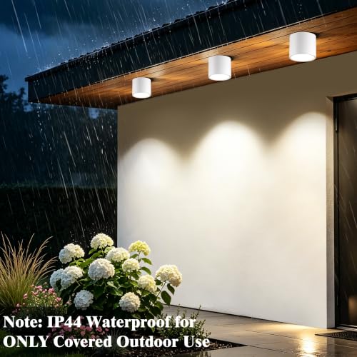Flush Mount Dimmable Outdoor Ceiling Light Fixture