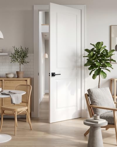 Interior Door Handle Sleek Ring Design