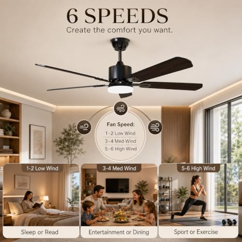Ceiling Fans with Lights