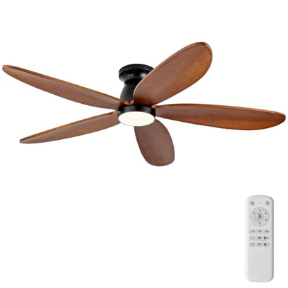 Ceiling Fan with Light