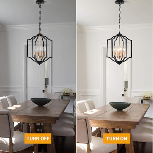 Black Chandelier Light Fixture