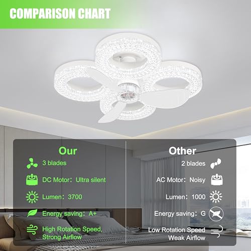 Socket Ceiling Fan Light