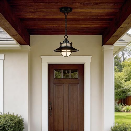 Black LED Antique Outdoor Barn Lights With Cage