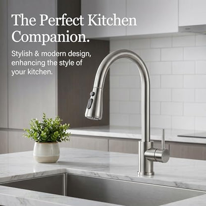 Kitchen Faucets with Pull Down Sprayer (Silver)
