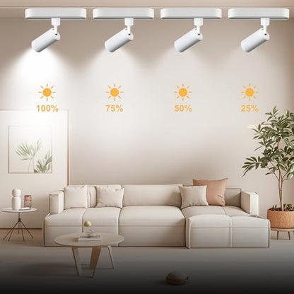 Dimmable 3CCT LED Track Lighting Kit