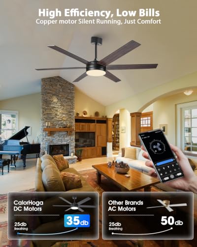 Large Ceiling Fan with Lights