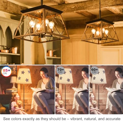 Vintage LED Edison Light Bulbs 60 Watt